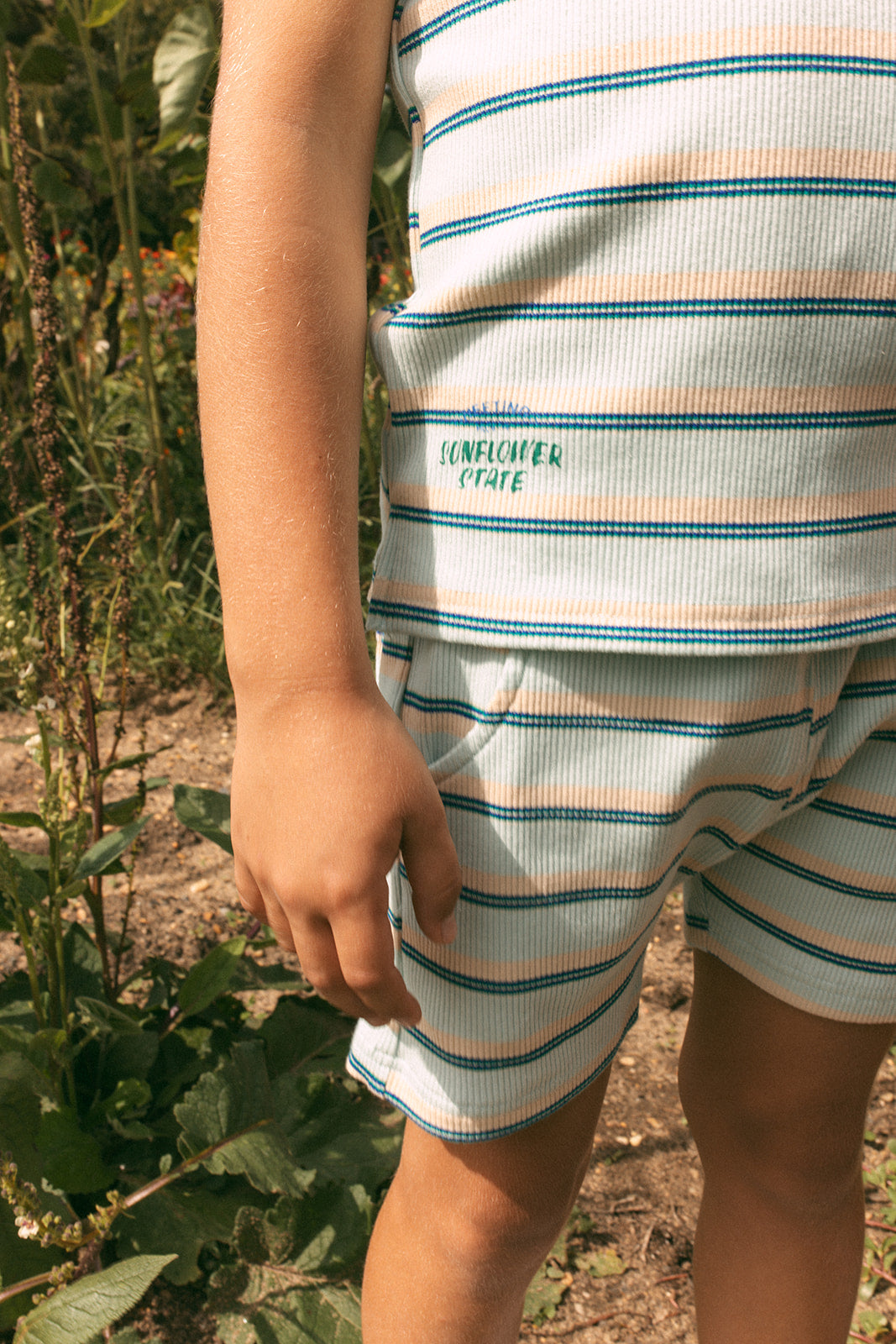 Parker Shorts
