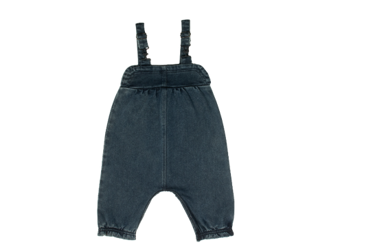 Oakley Bubble Overalls - Blue